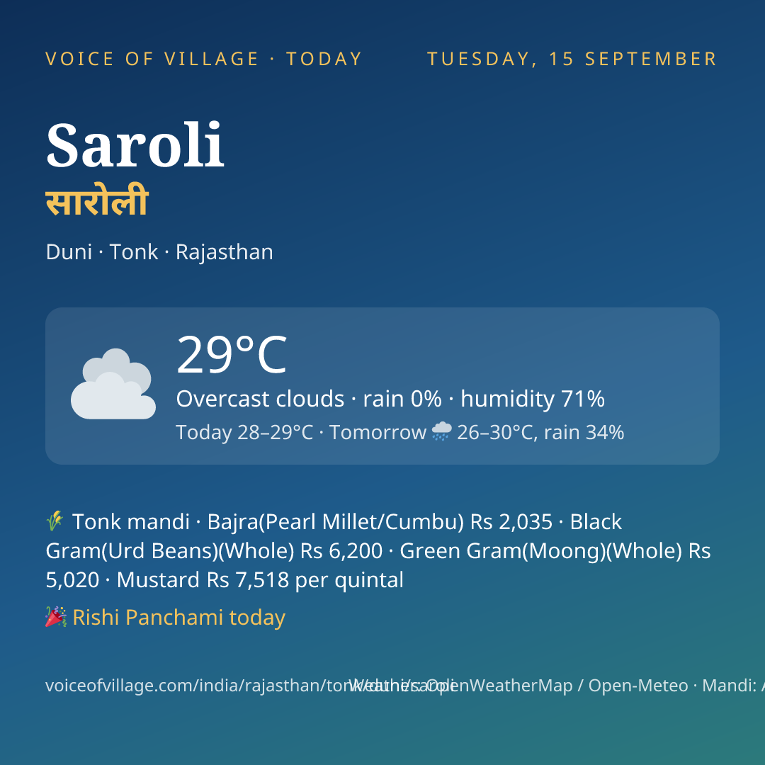 Saroli today