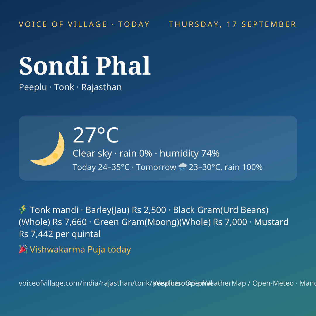 Sondi Phal today