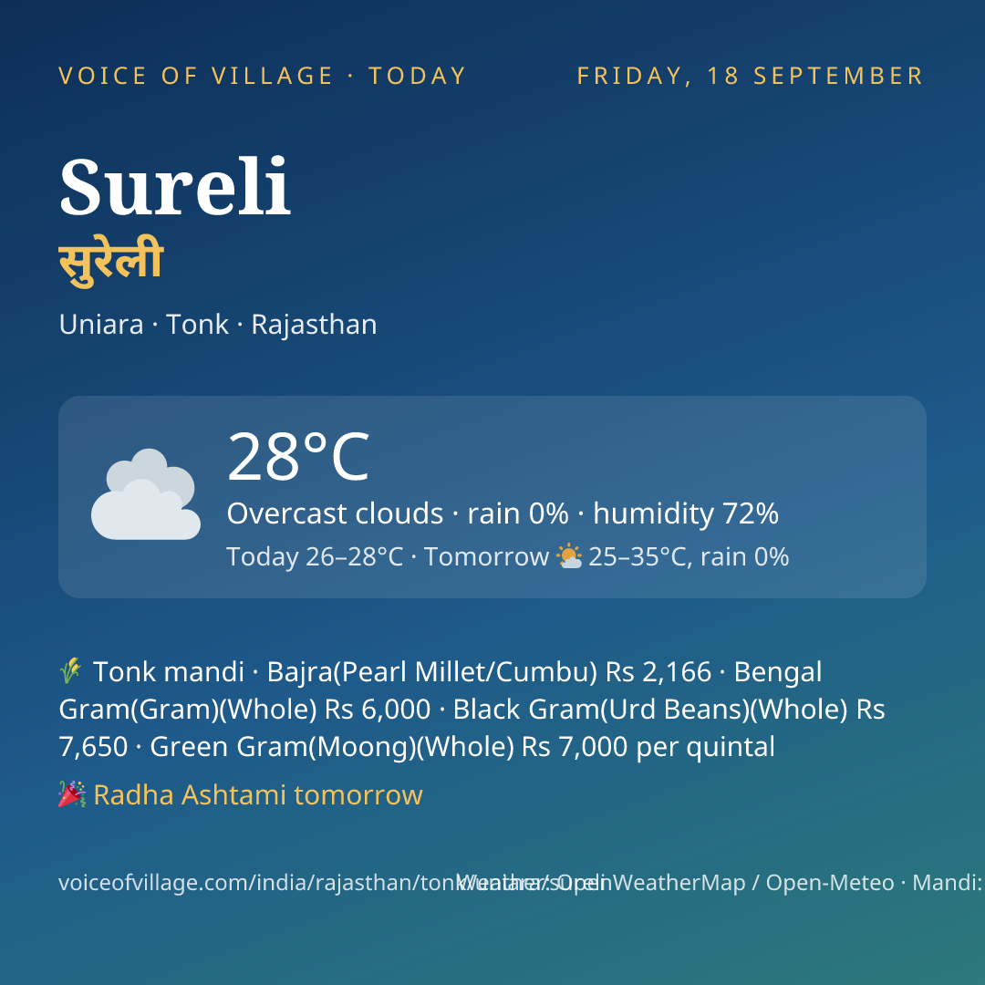 Sureli today