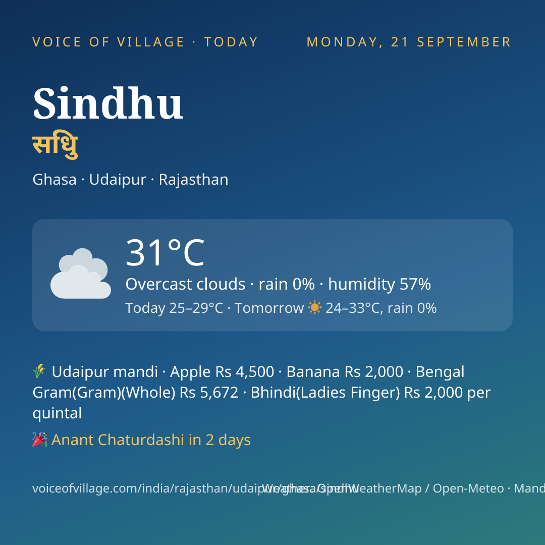 Sindhu today