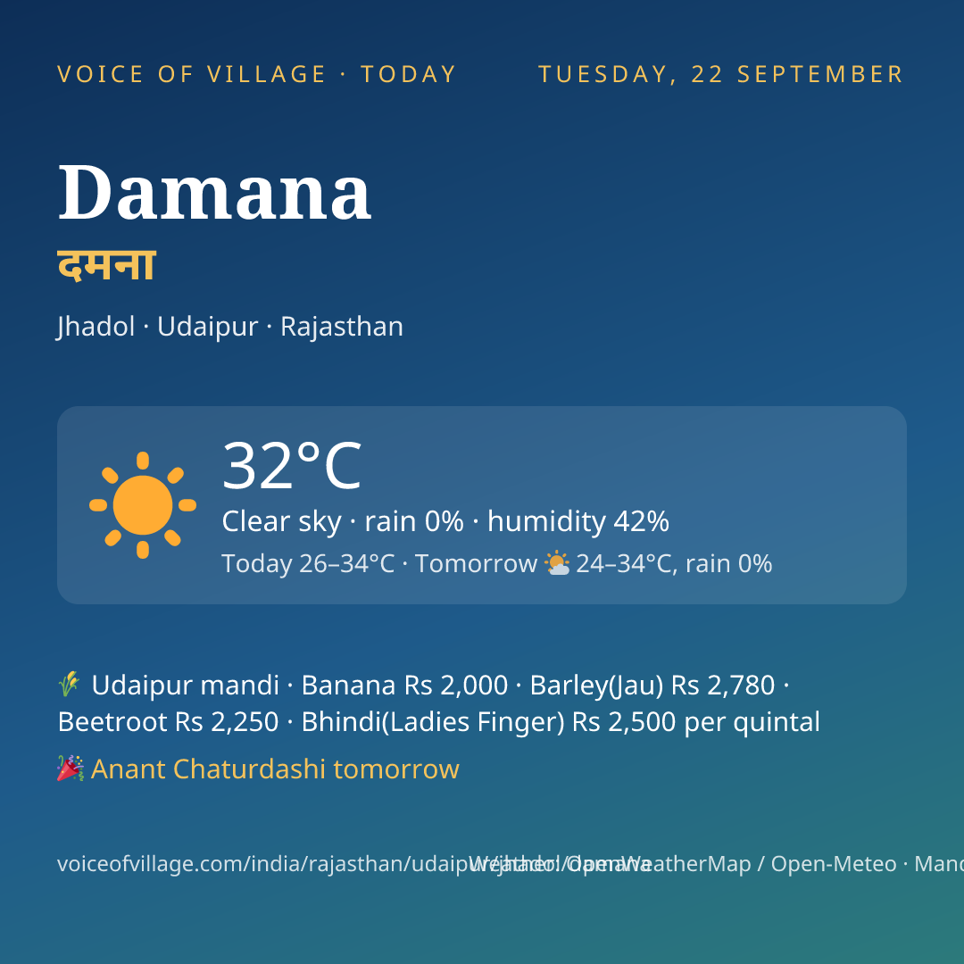 Damana today