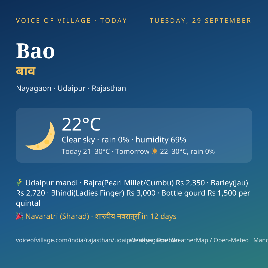 Bao today