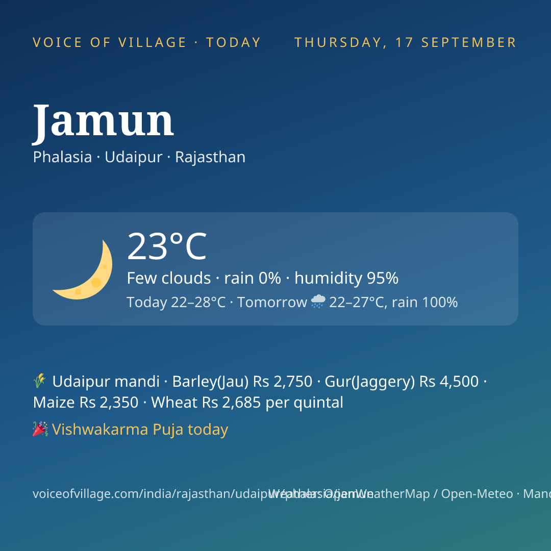 Jamun today