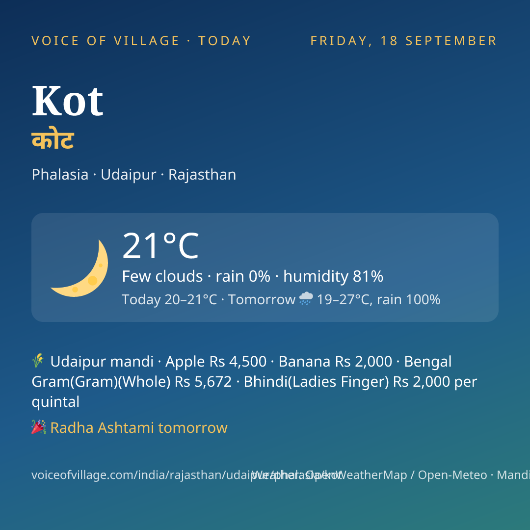 Kot today