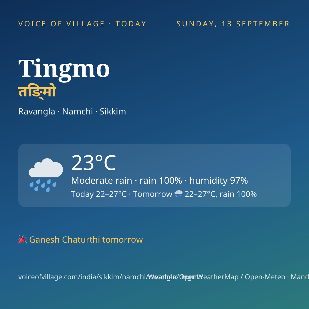 Tingmo today