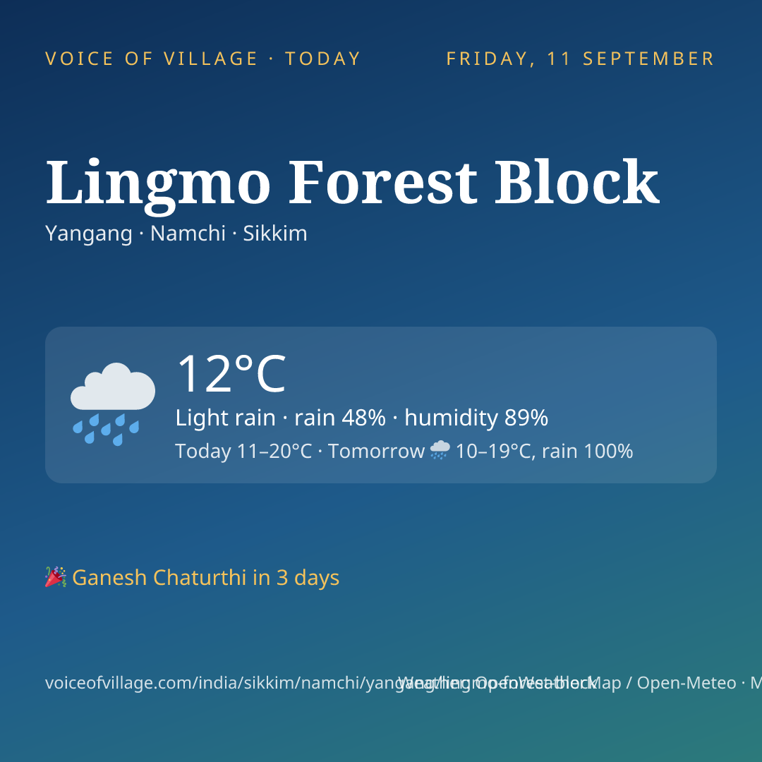 Lingmo Forest Block today