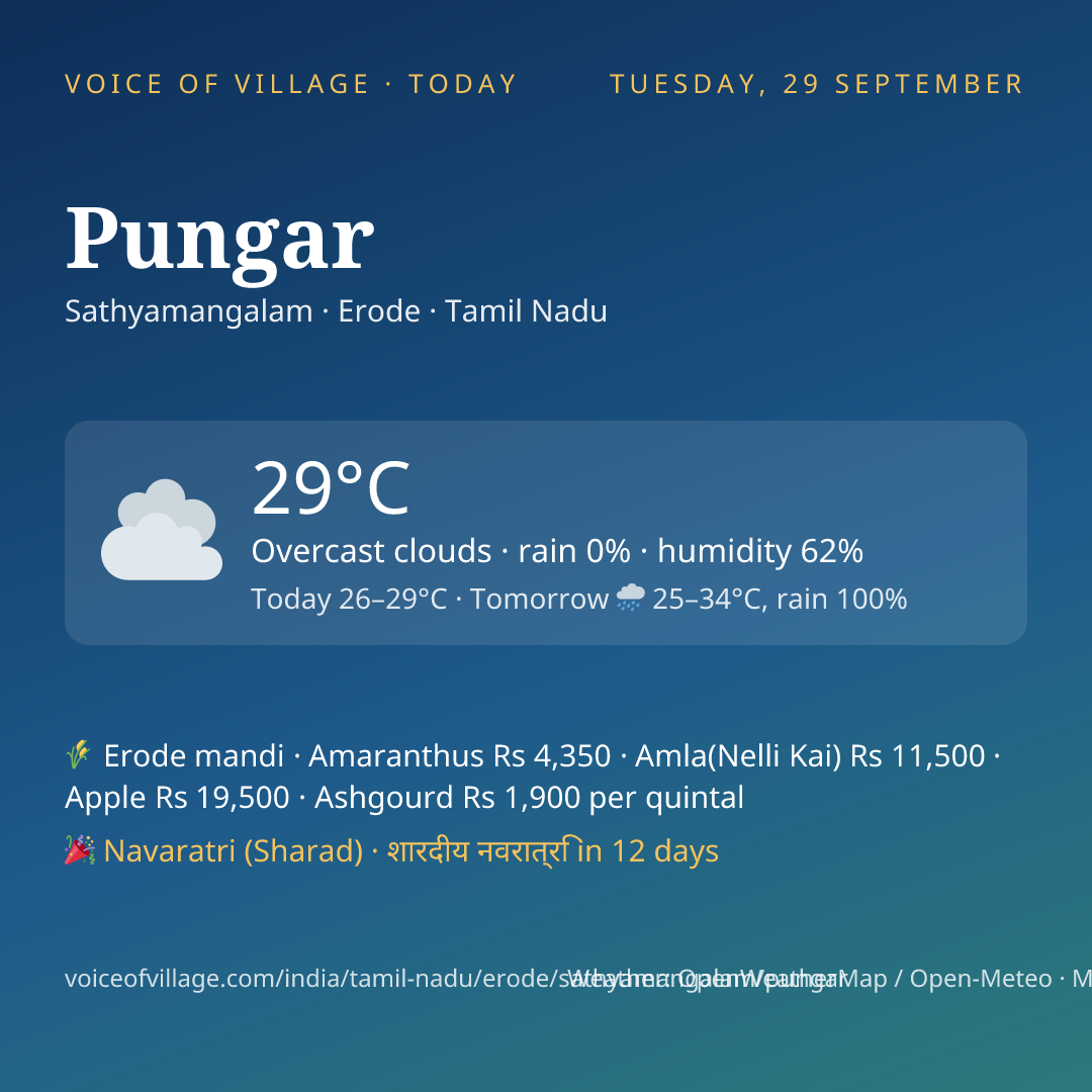 Pungar today