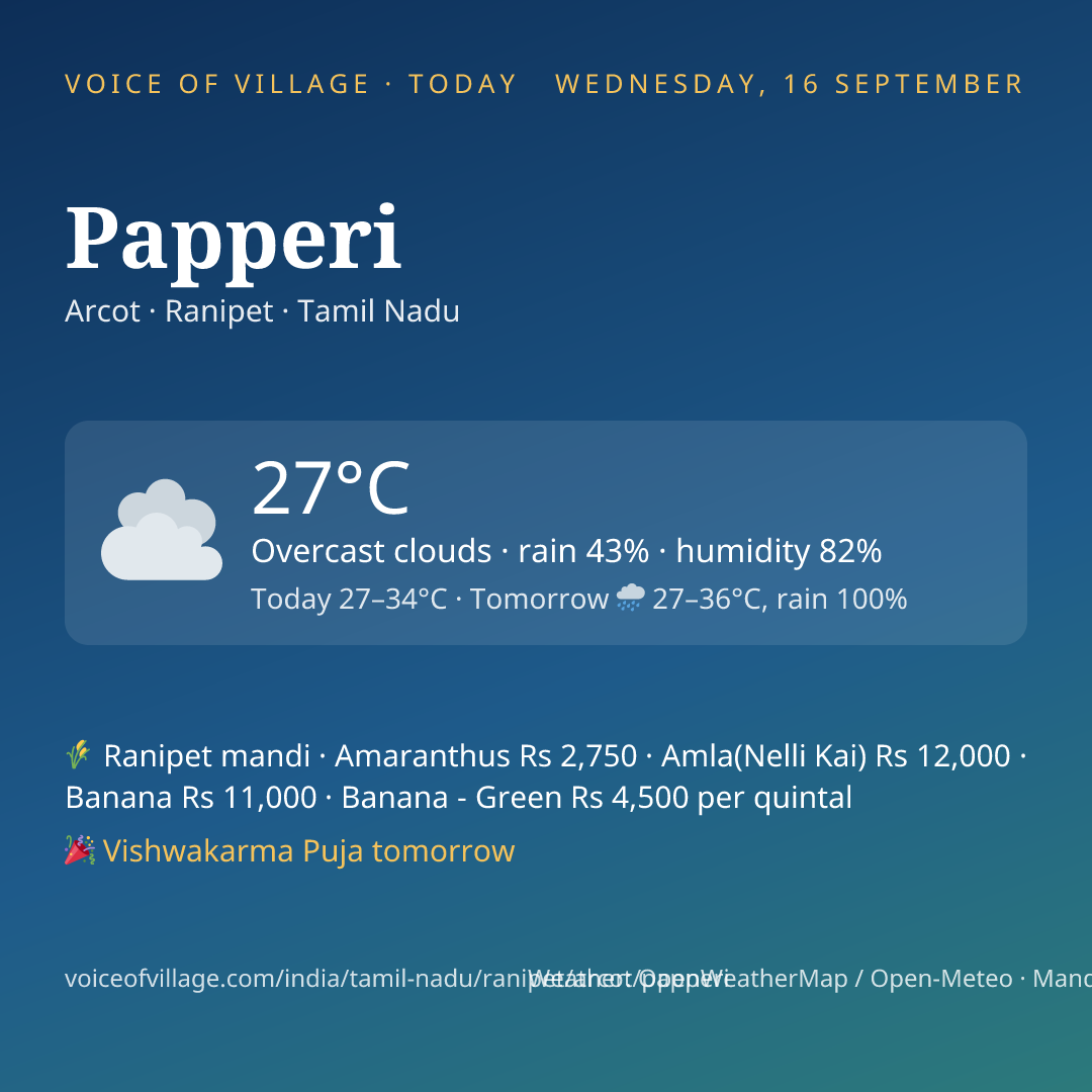 Papperi today