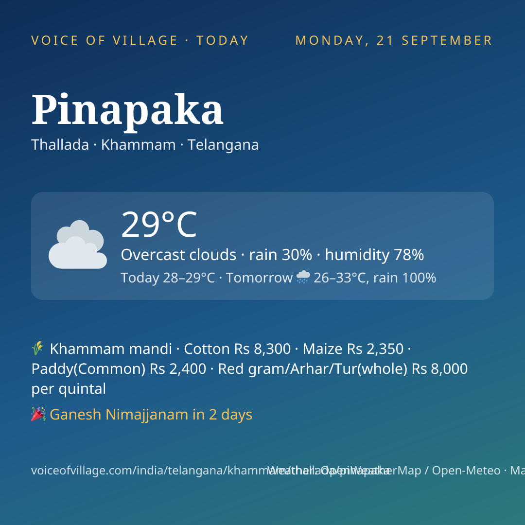 Pinapaka today