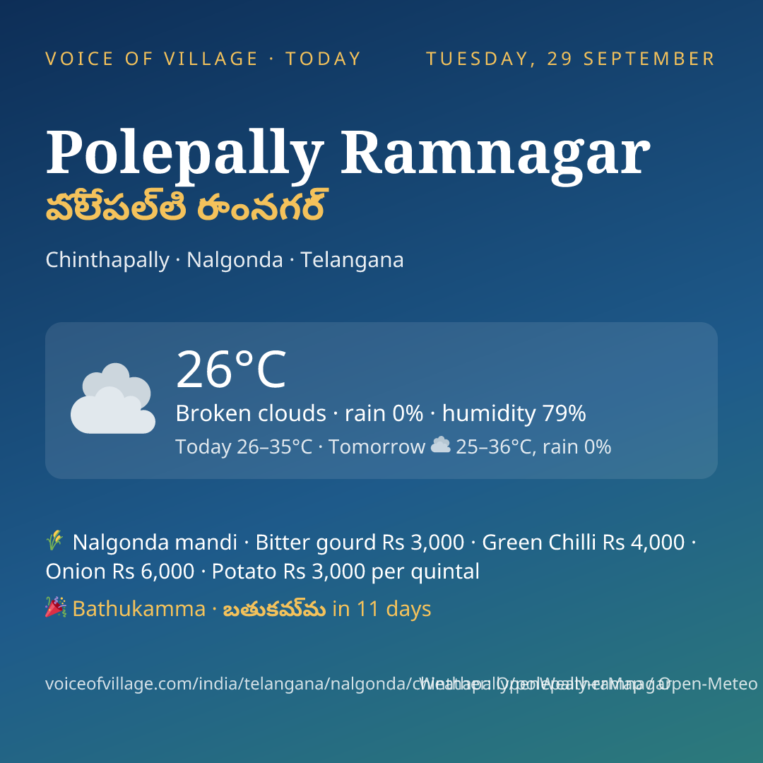 Polepally Ramnagar today
