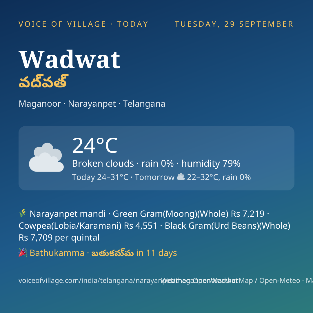 Wadwat today