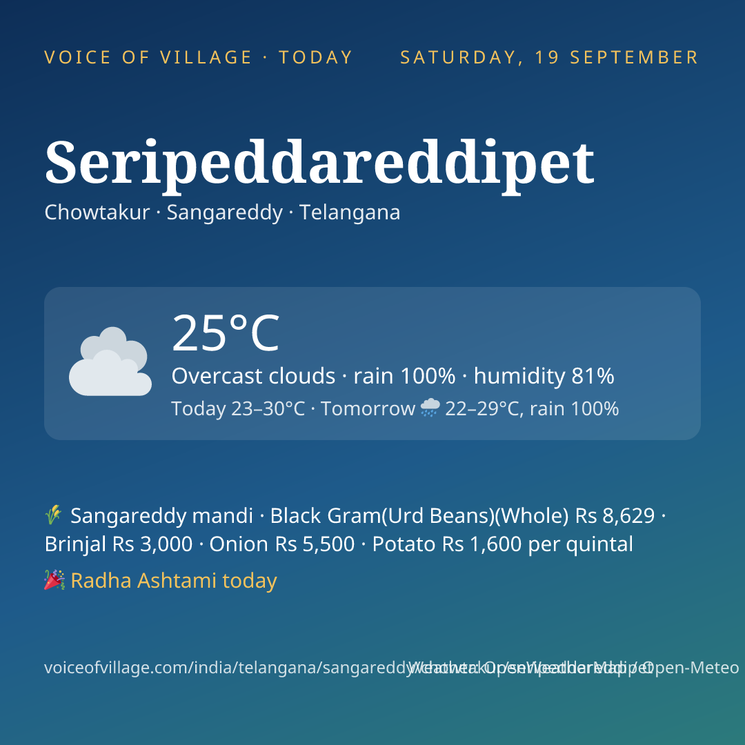 Seripeddareddipet today