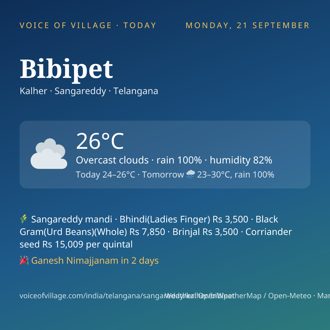 Bibipet today