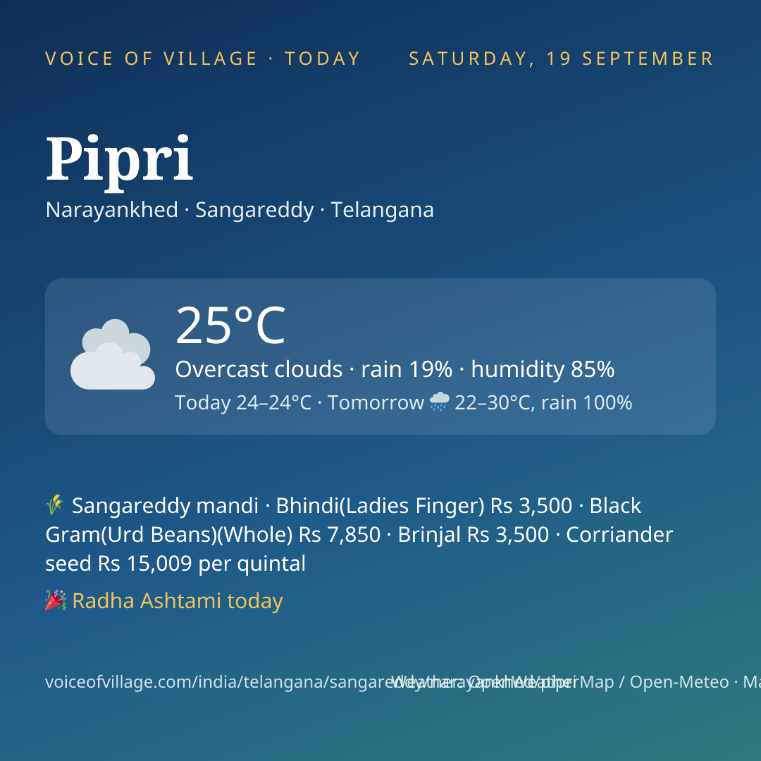 Pipri today