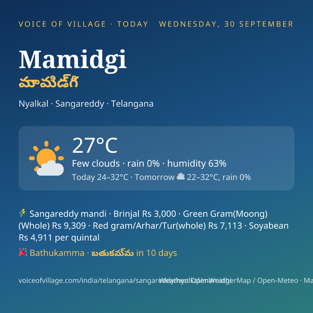 Mamidgi today