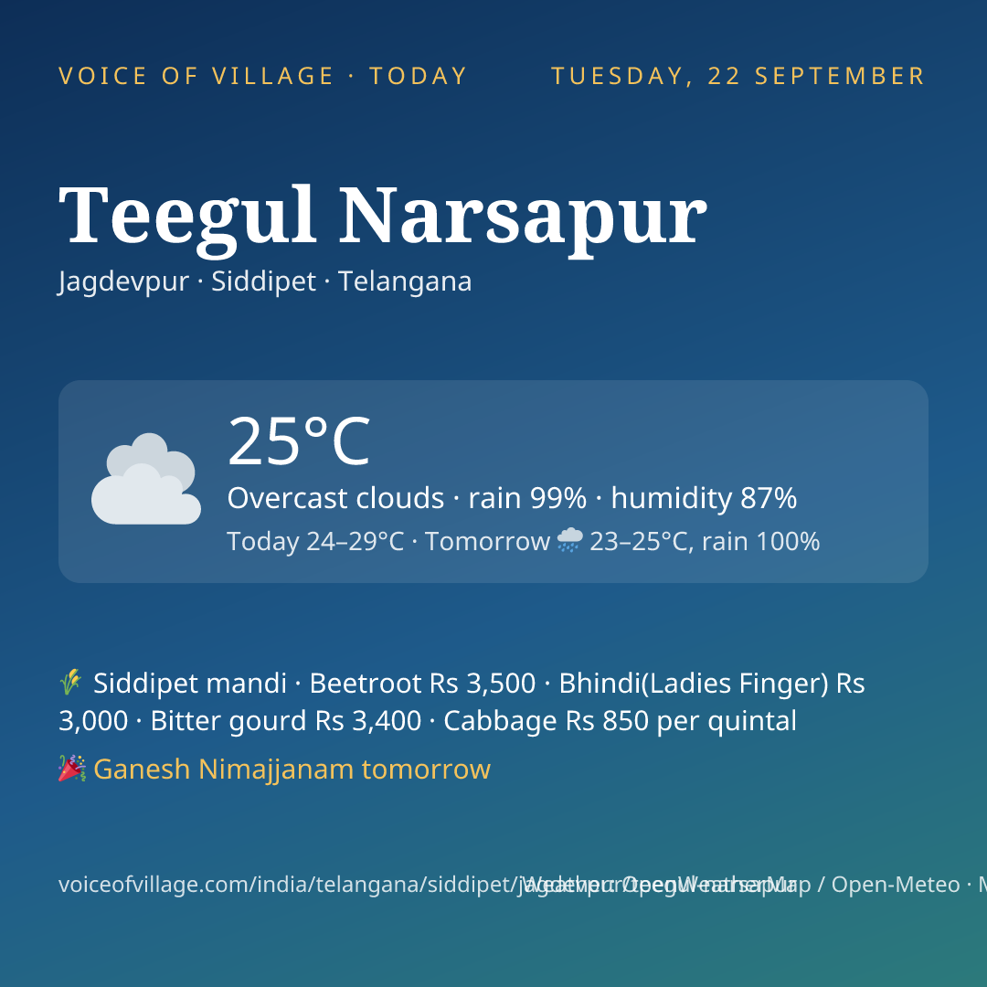 Teegul Narsapur today