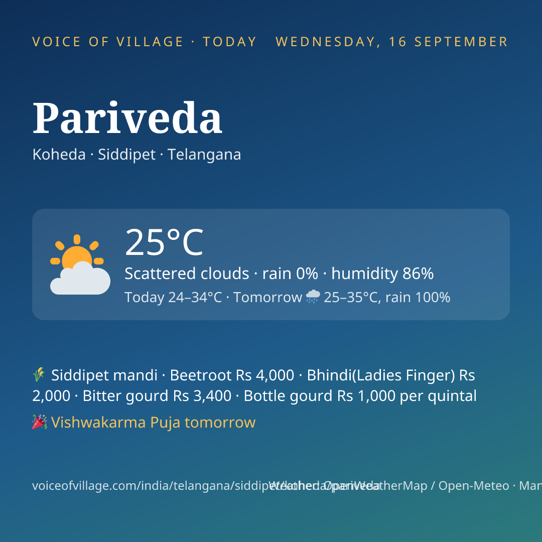 Pariveda today