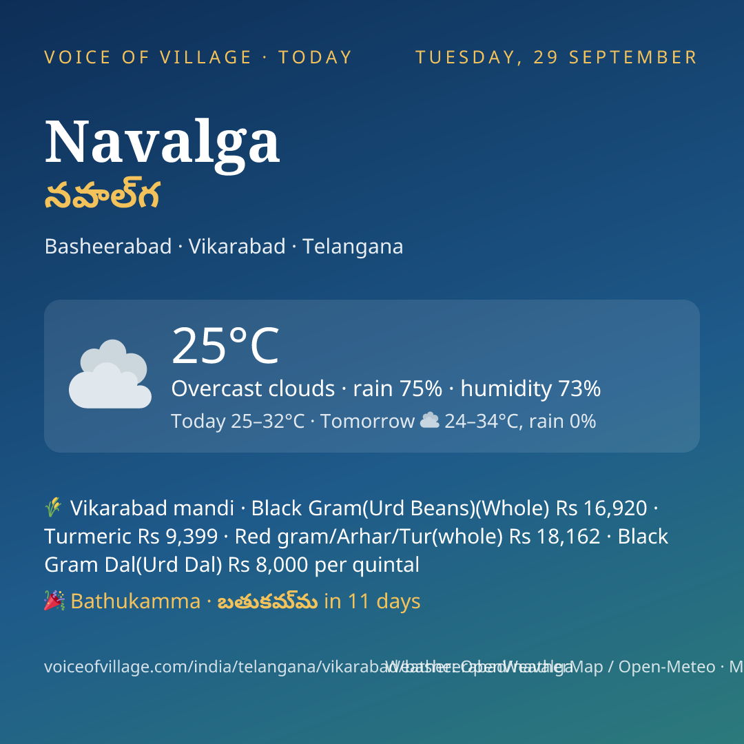 Navalga today