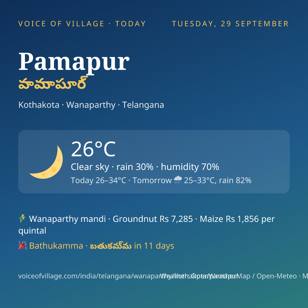 Pamapur today