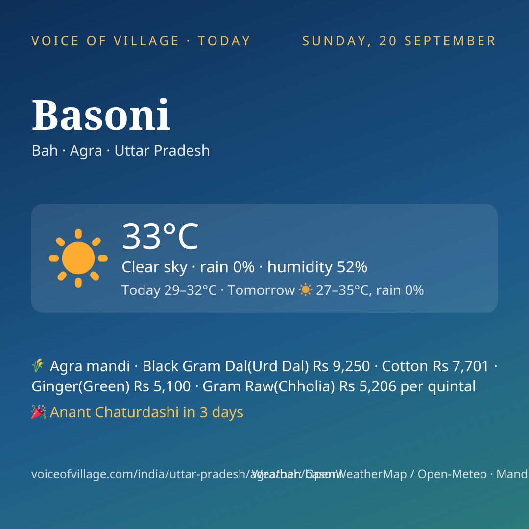 Basoni today