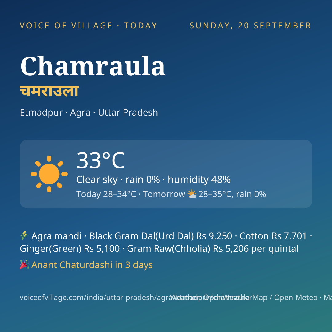 Chamraula today