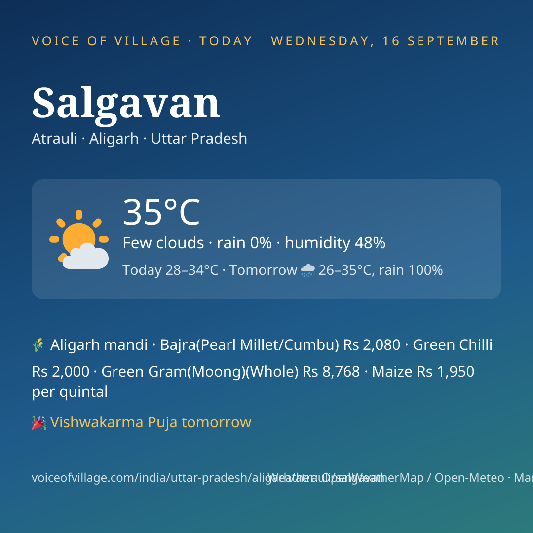 Salgavan today