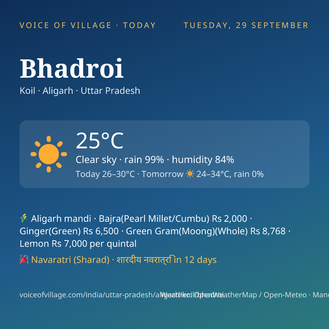 Bhadroi today
