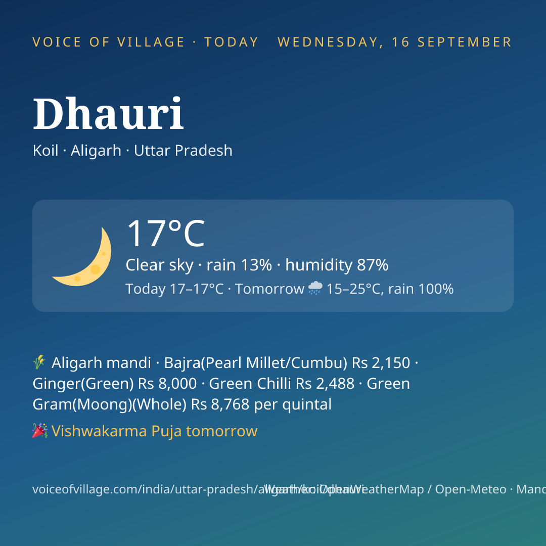 Dhauri today