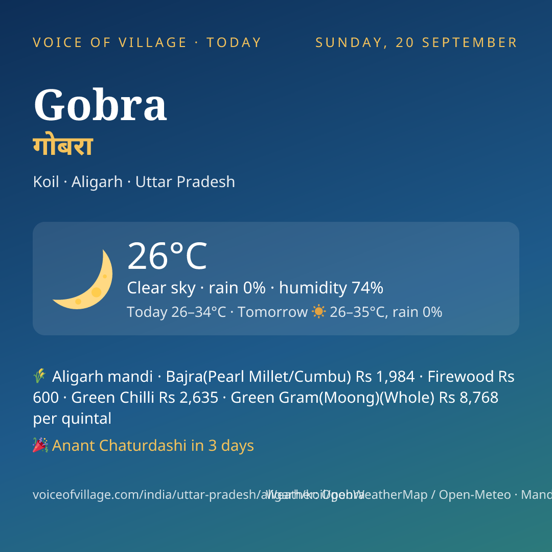 Gobra today