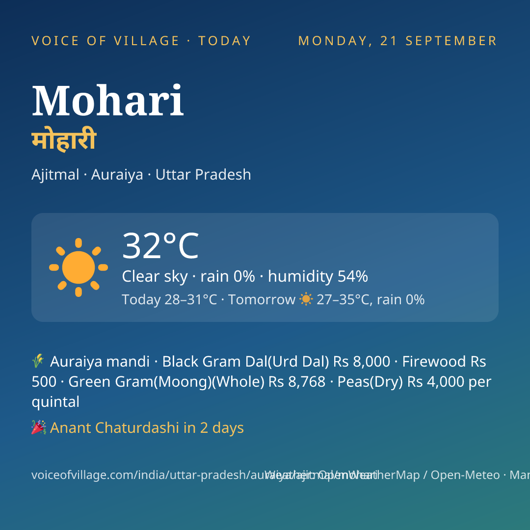 Mohari today