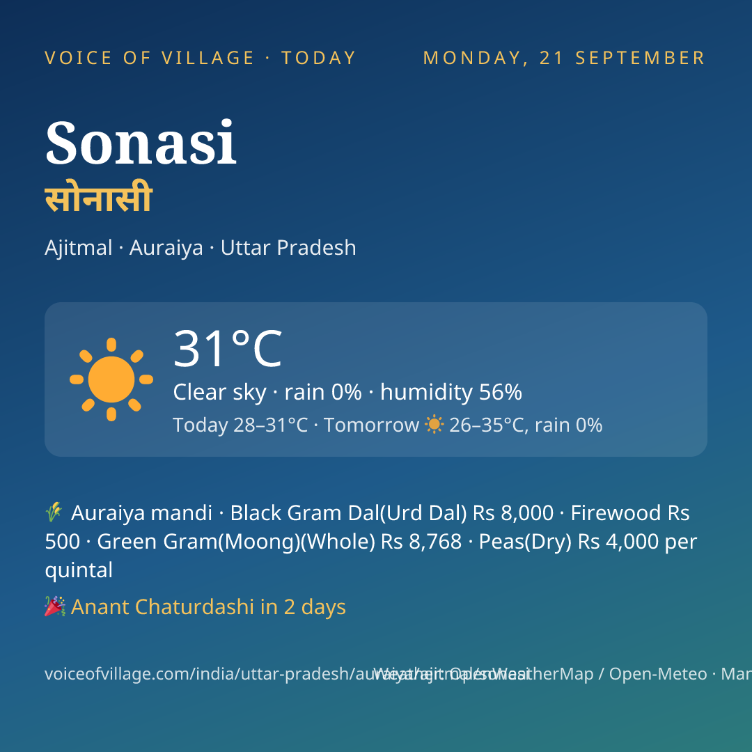 Sonasi today