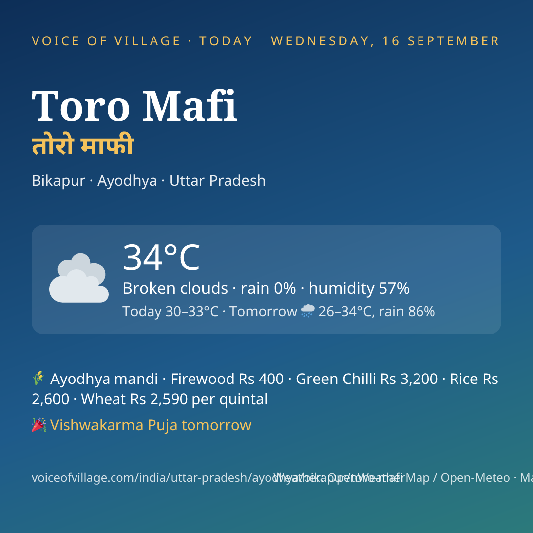 Toro Mafi today