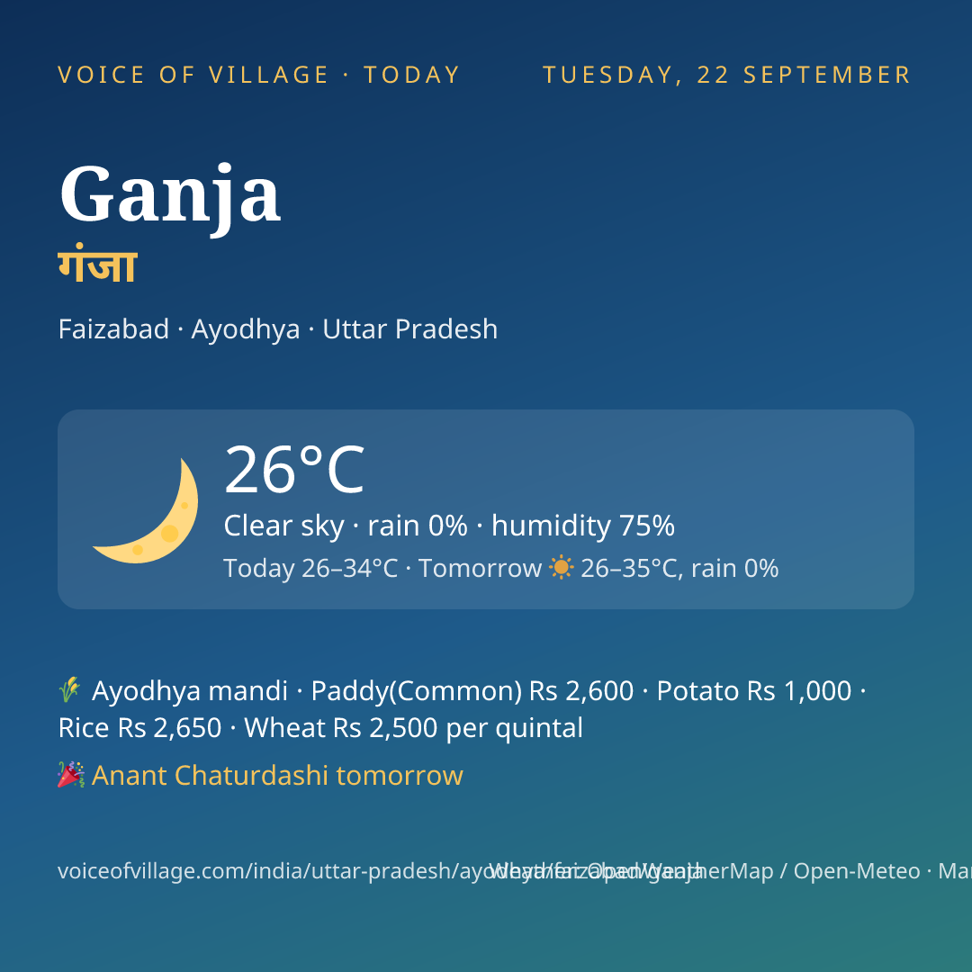 Ganja today