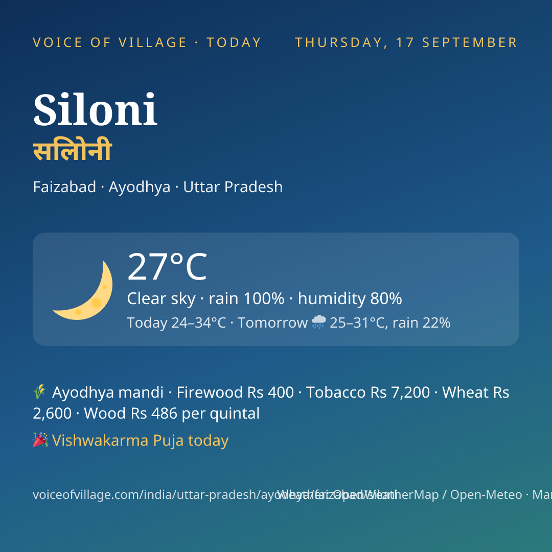 Siloni today