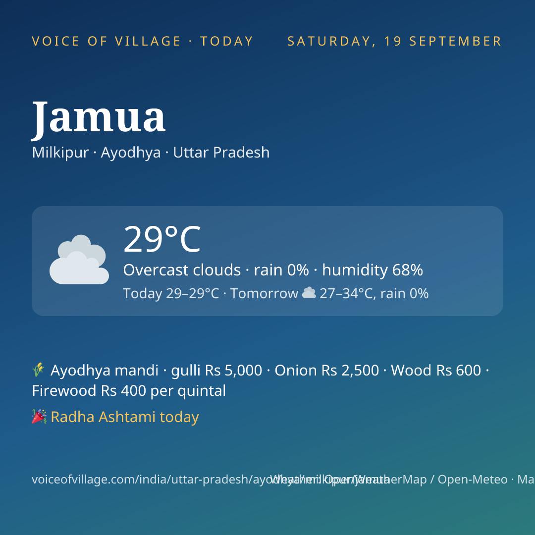 Jamua today