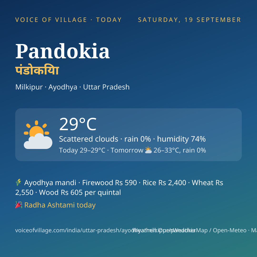 Pandokia today