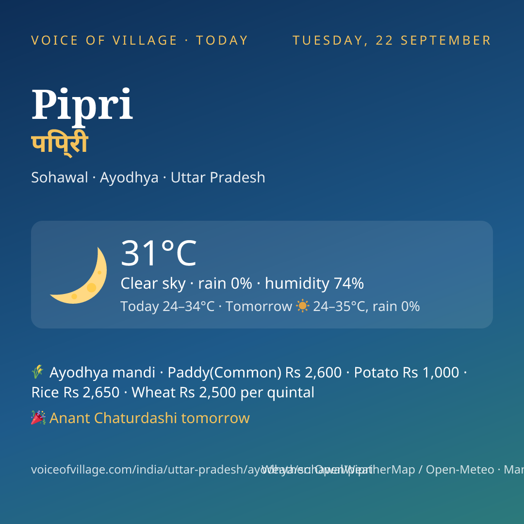 Pipri today
