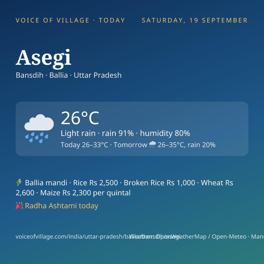Asegi today