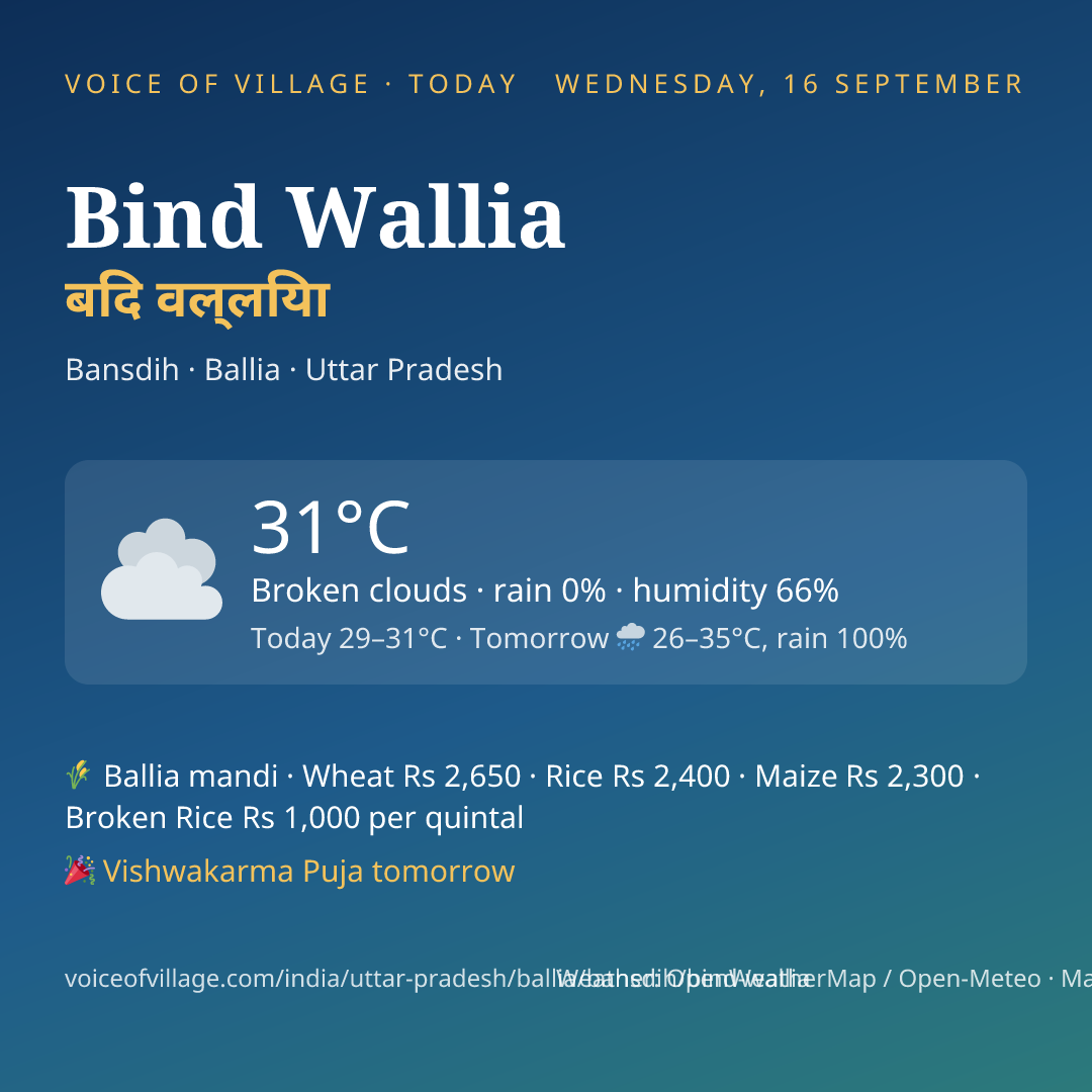 Bind Wallia today