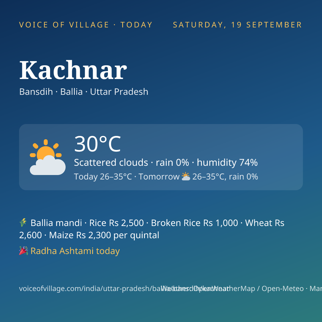 Kachnar today