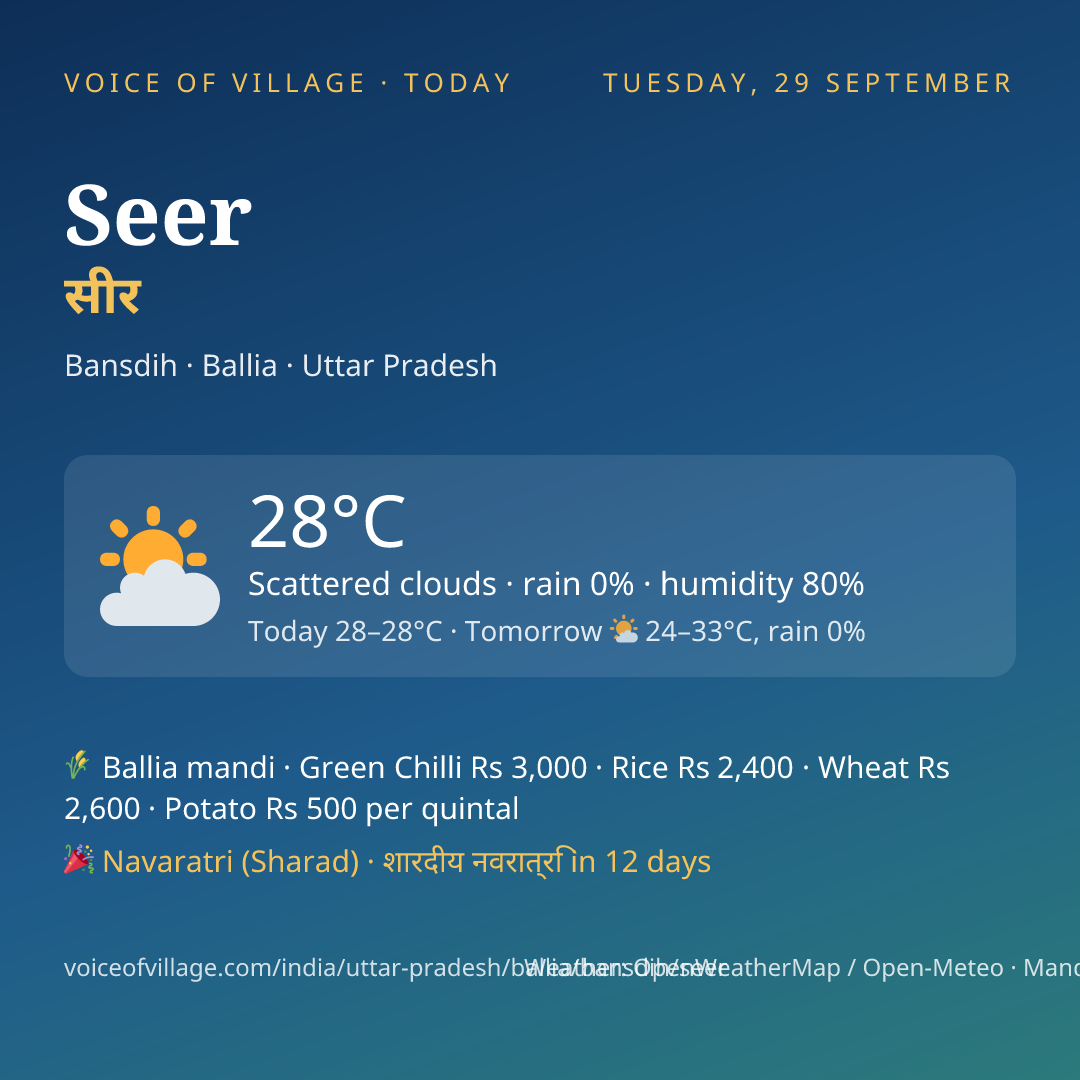Seer today