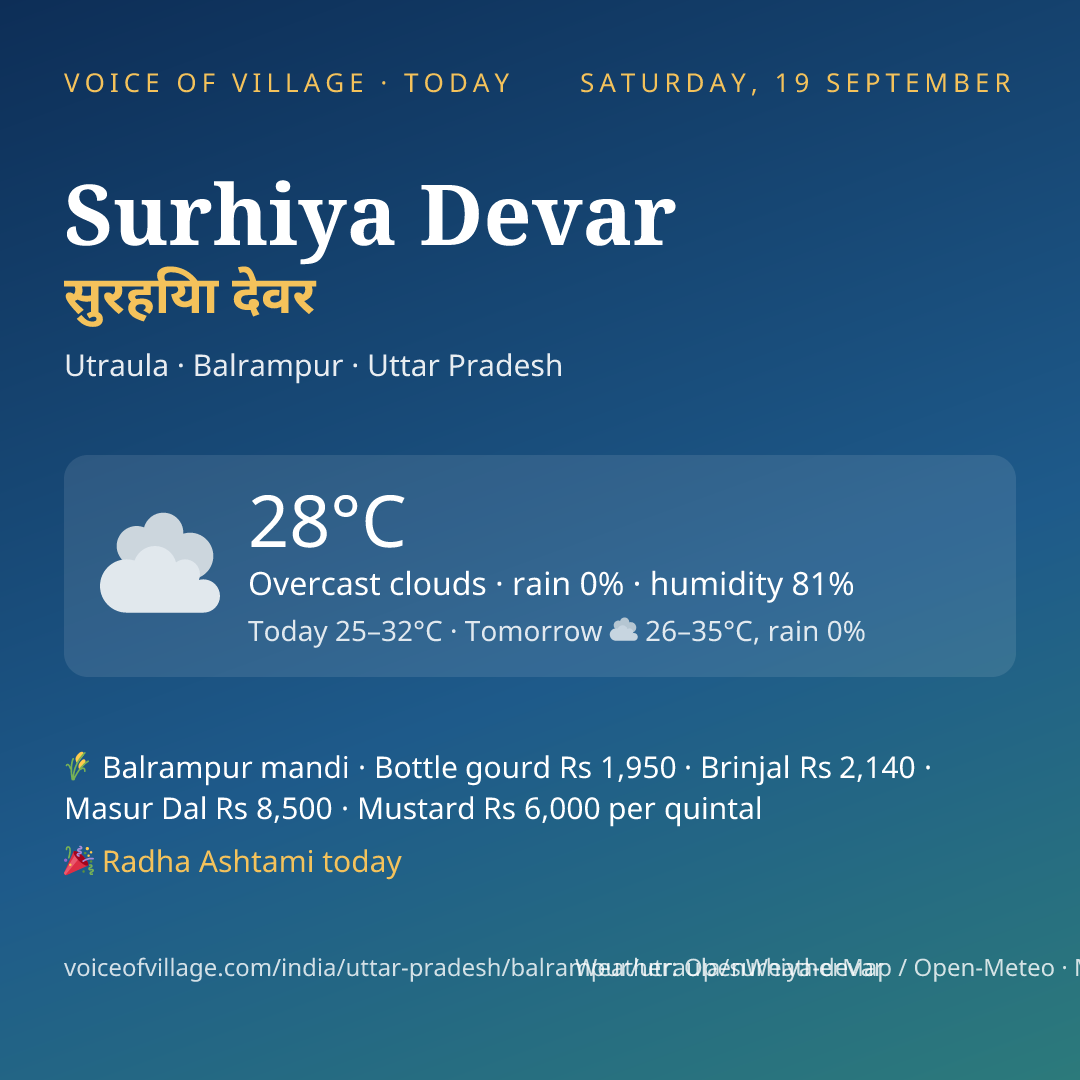 Surhiya Devar today