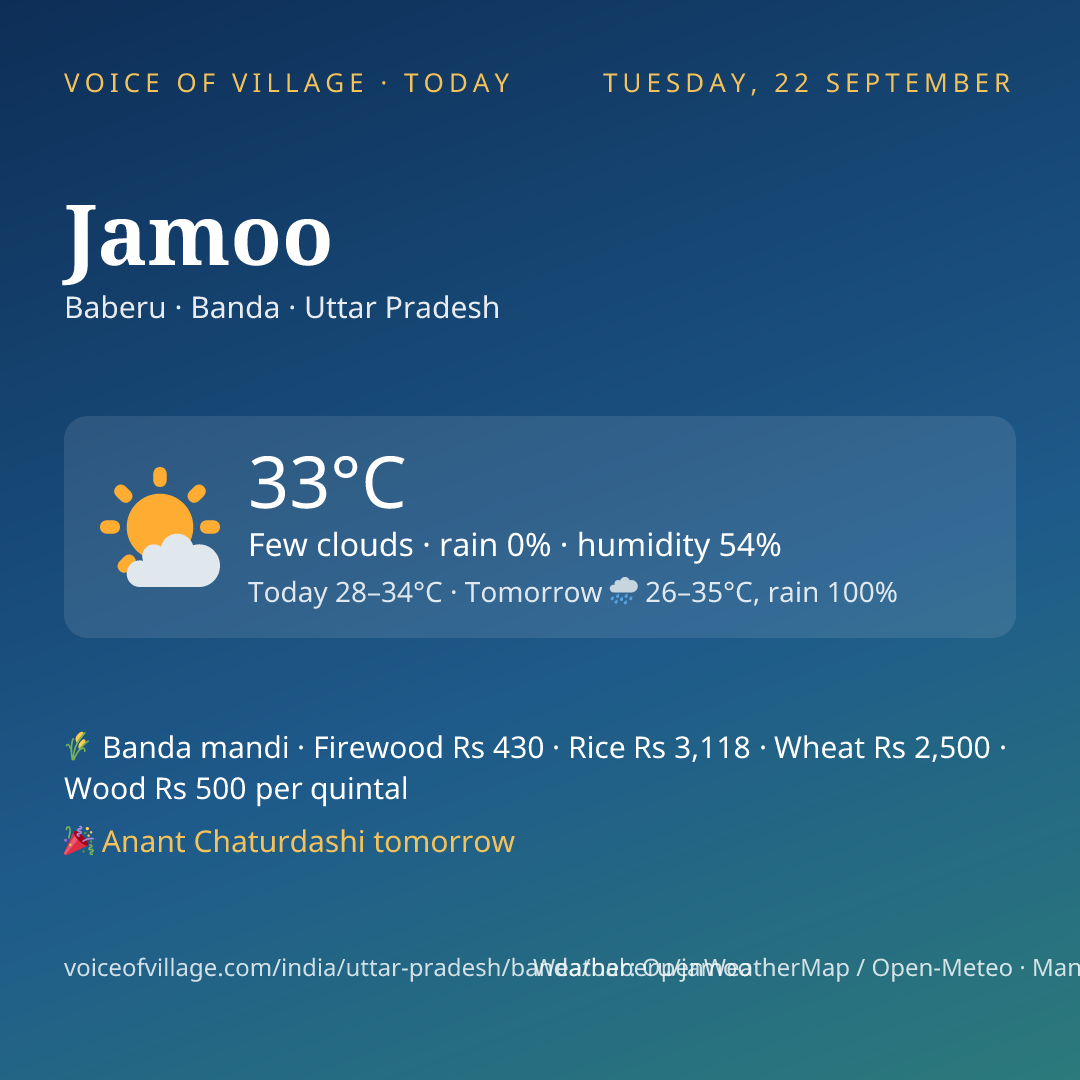 Jamoo today