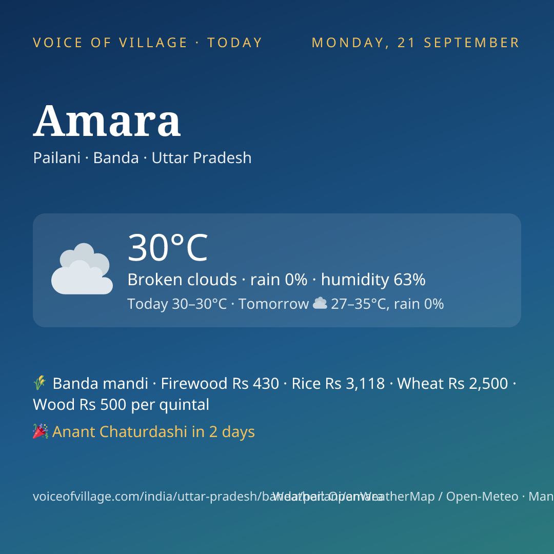 Amara today