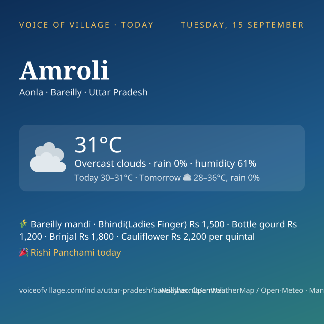 Amroli today
