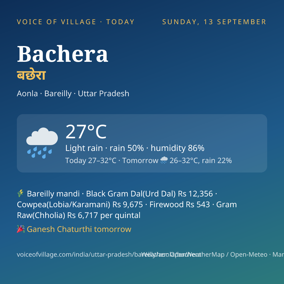 Bachera today