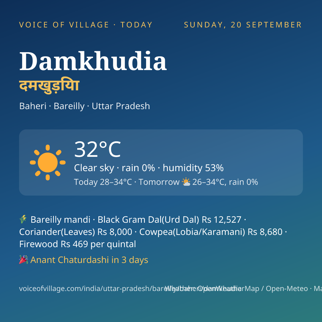 Damkhudia today