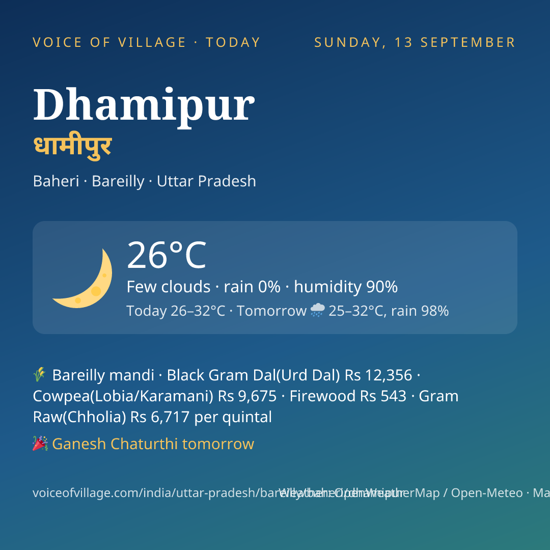Dhamipur today