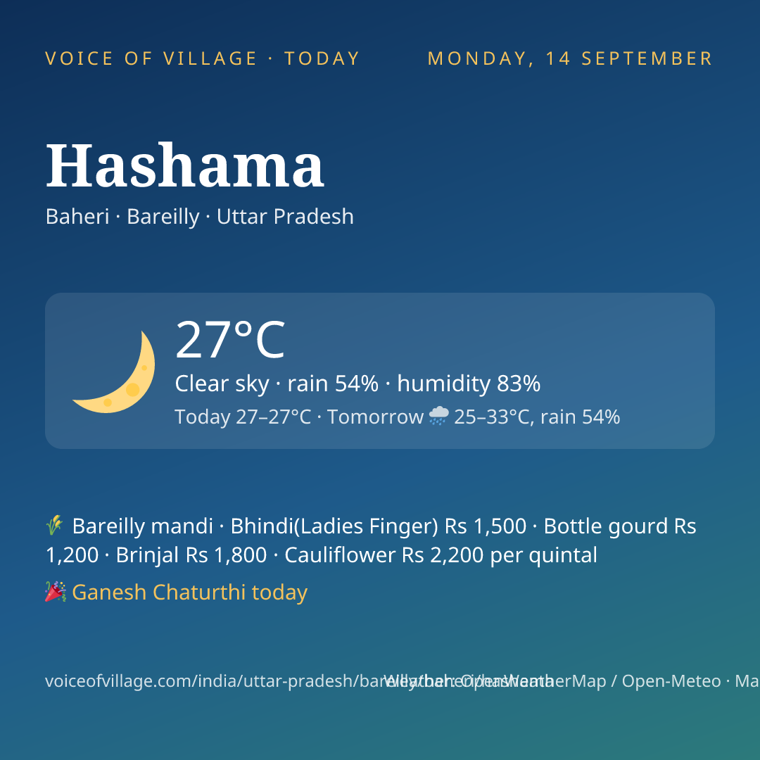 Hashama today