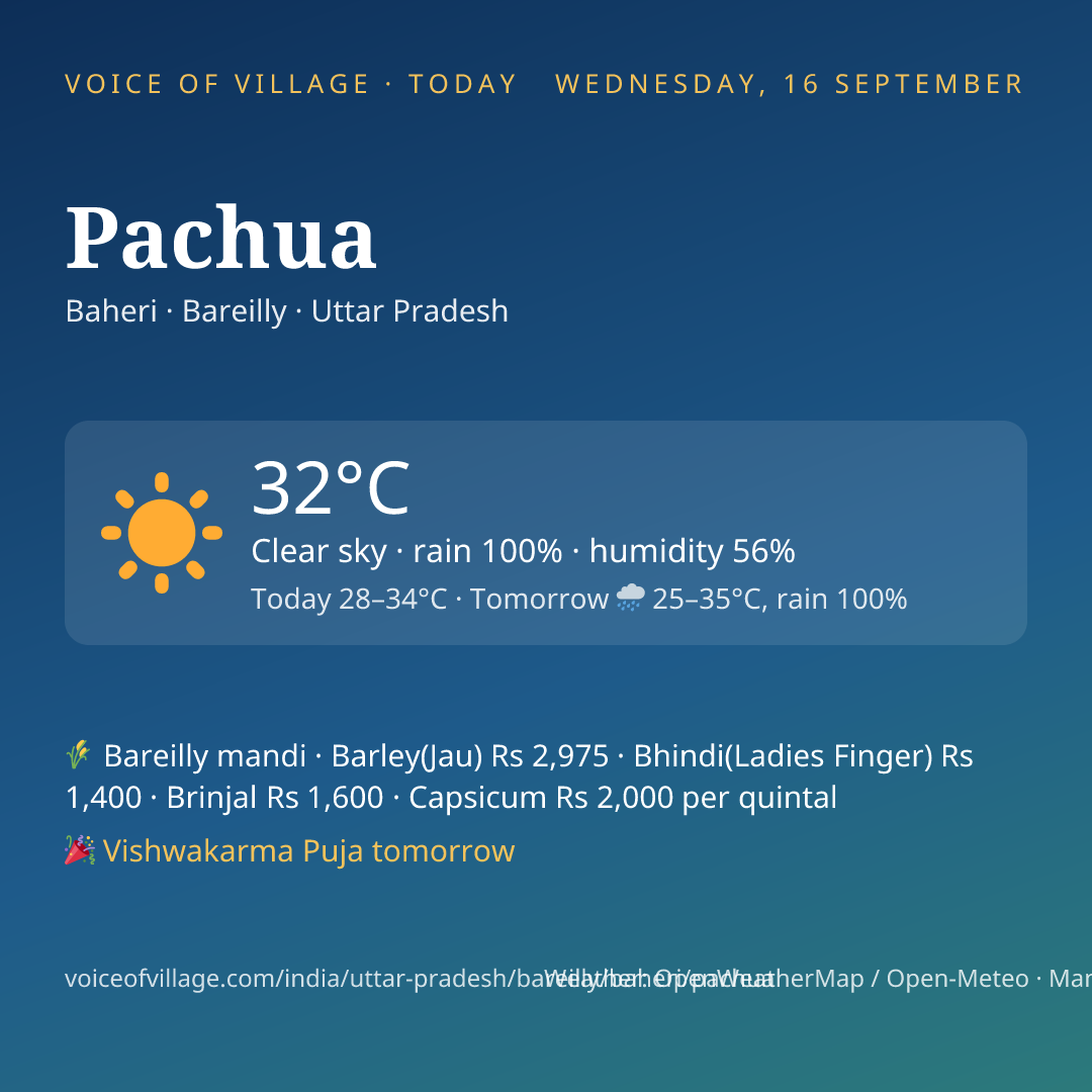Pachua today